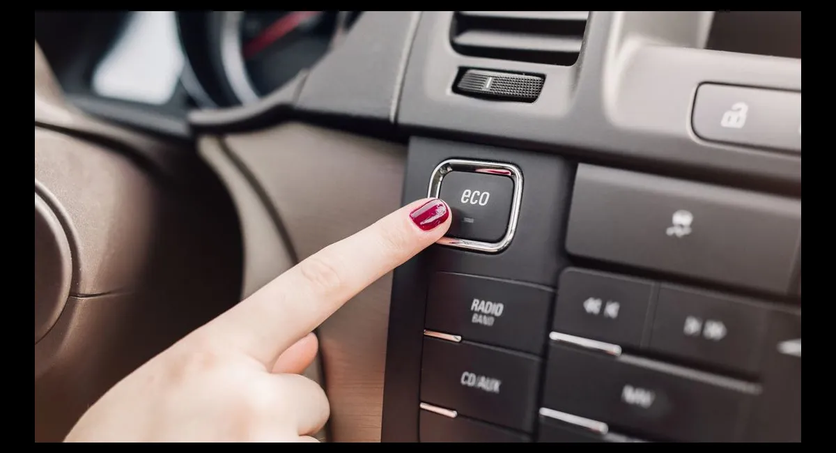 Водіям розповіли про переваги та недоліки режиму водіння ECO - today.ua