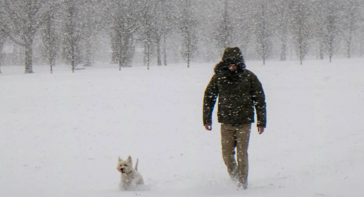 Сніг місцями до 15 см і пориви вітру: в ДСНС повідомили про погіршення погодних умов - today.ua