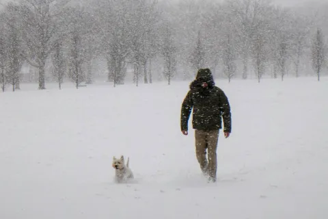 Снег местами до 15 см и порывы ветра: в ГСЧС сообщили об ухудшении погодных условий