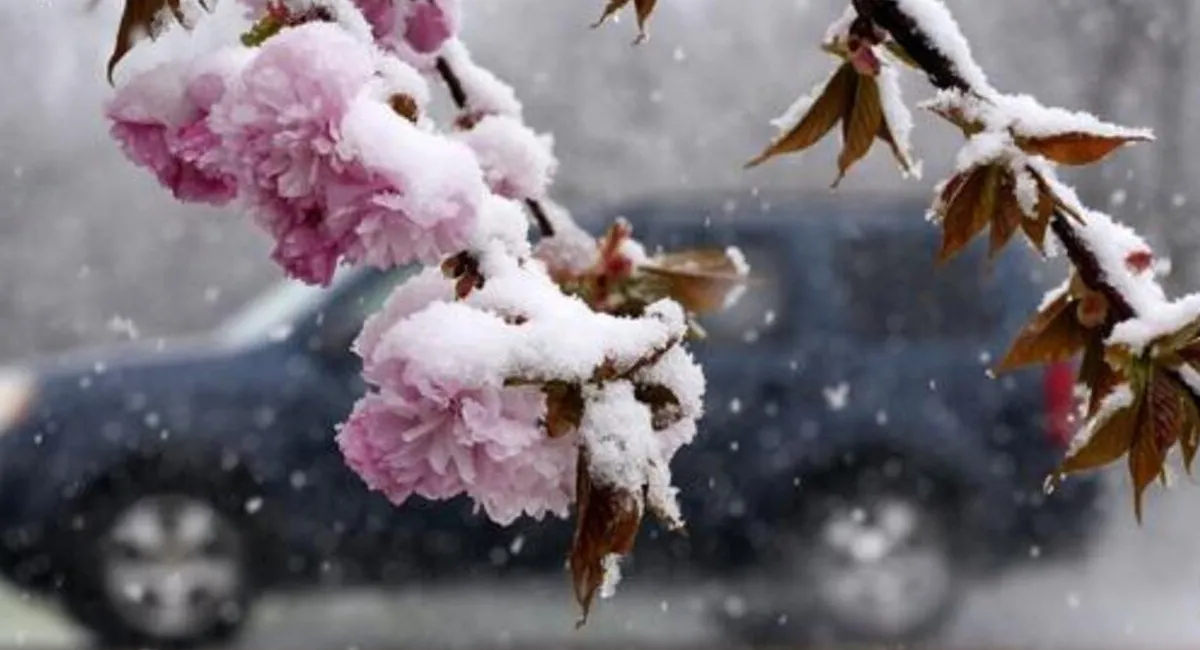 Началось: Украину уже понемногу засыпает снегом - today.ua