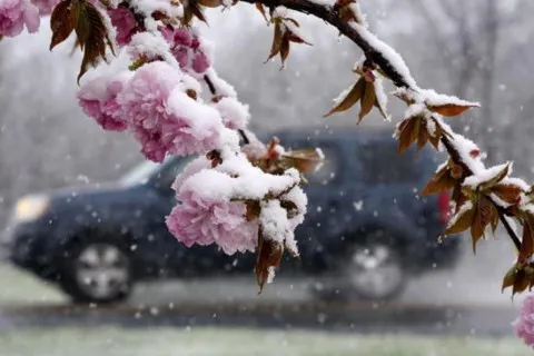 Началось: Украину уже понемногу засыпает снегом