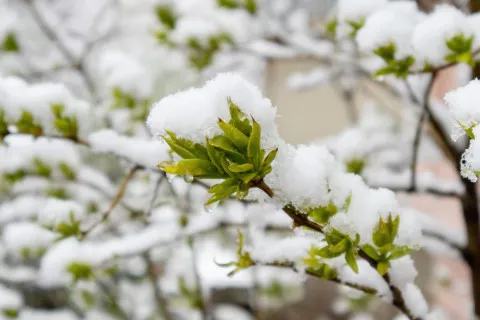 Из-за резкой смены погоды в Украине ГСЧС выступила с предупреждением: снег и мороз ближайшей ночью могут натворить бед