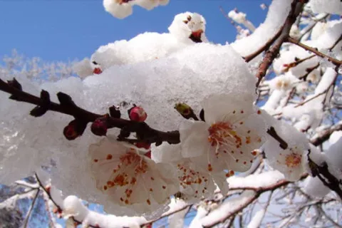 Нынешняя отвратительная погода – не последняя этой весной: в мае снова прогнозируют заморозки и аномальный холод