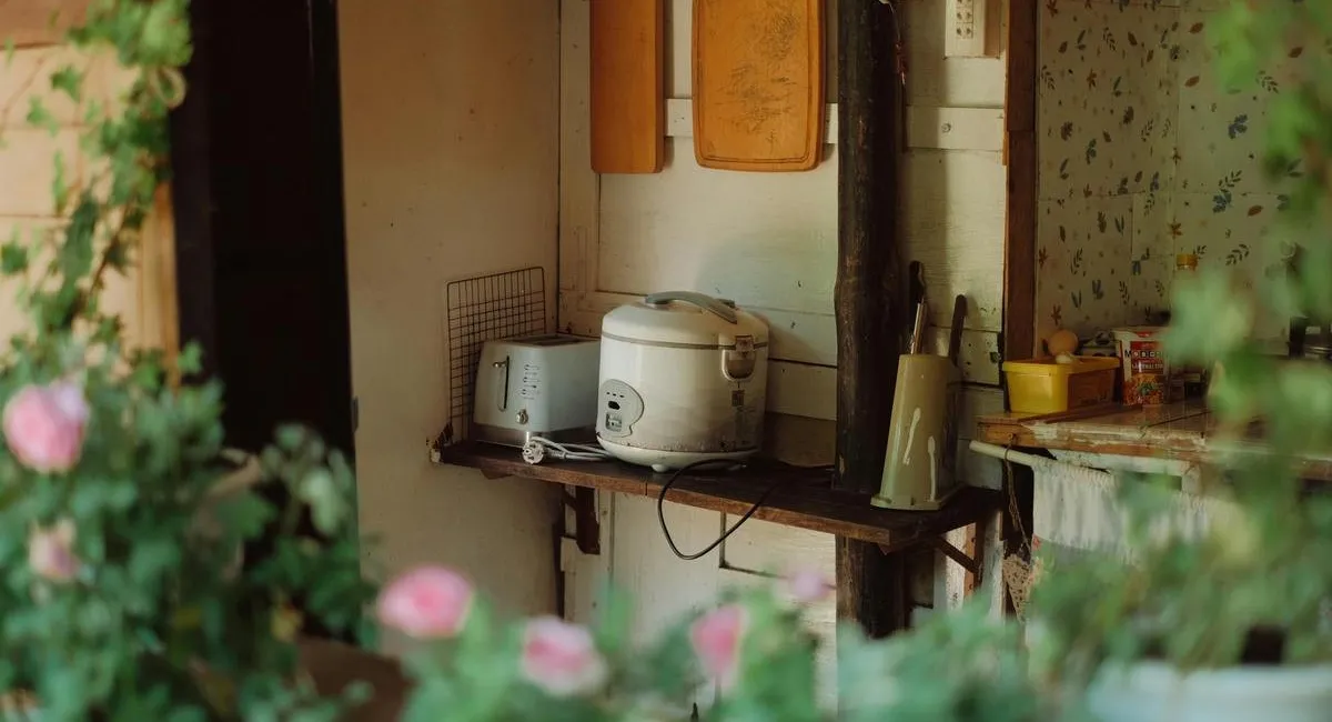 Енергетичні вампіри: названо техніку, яка споживає електрику навіть у вимкненому стані - today.ua