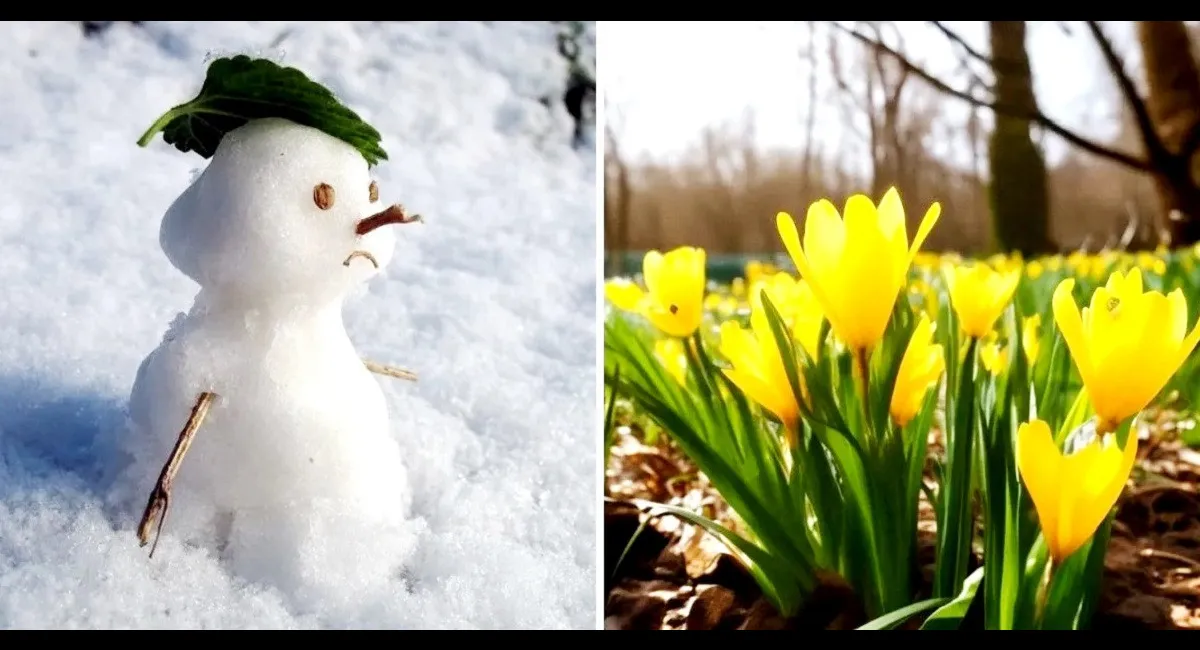 Погодные аномалии: синоптики удивили украинцев прогнозом на май - today.ua