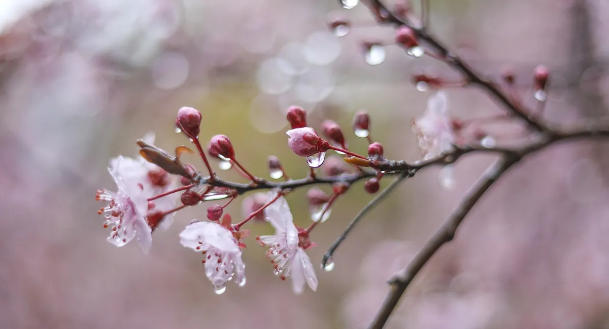 В Украину снова идет похолодание: в каких регионах испортится погода и когда вернется тепло - today.ua