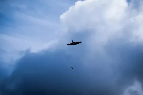 Уничтожают живую силу и бронетехнику: у ВСУ появились "бомберы" В-1