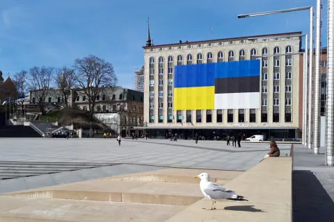 В Эстонии остановят выплату пособий на аренду жилья для украинских беженцев