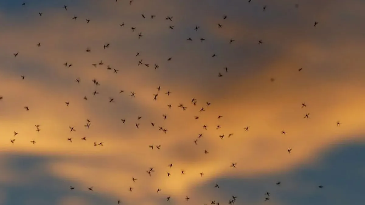 Росіян попередили про новий масований наступ на територію РФ, що може початися вже за два тижні: звідки прийде підмога для ЗСУ - today.ua