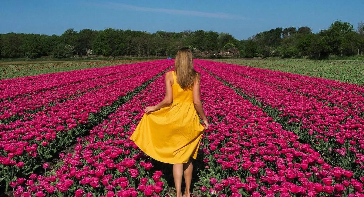В Україні очікується аномальна погода: прогноз до кінця тижня - today.ua