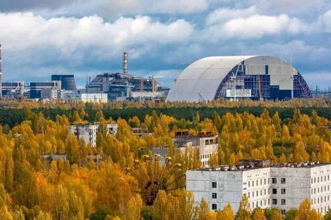 Небезпечні землі Чорнобиля роками незаконно використовували під посіви: що відомо