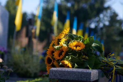 Поминальные дни уже близко: лучшие растения для могилы, которые растут и цветут без ухода