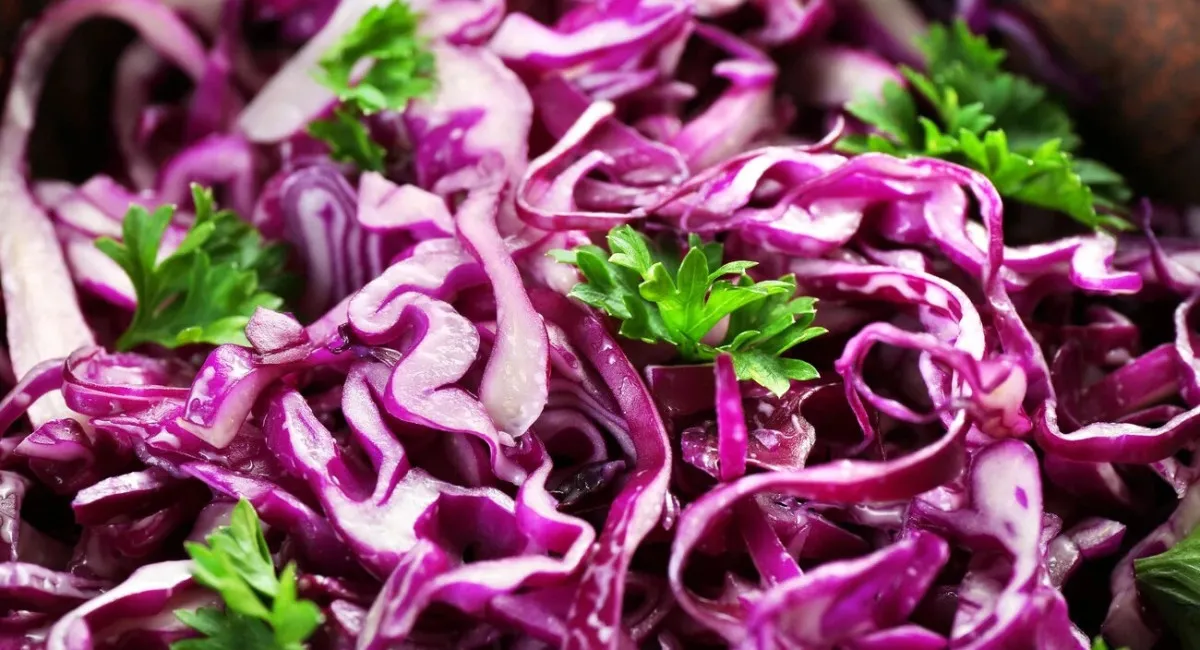 Витаминный салат для крепкого иммунитета: рецепт вкусного и полезного для здоровья блюда - today.ua
