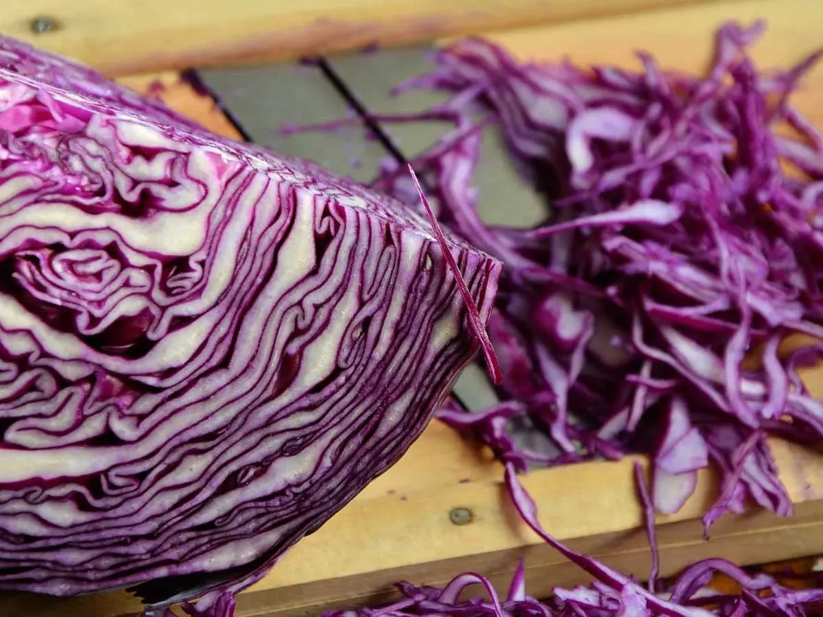 Витаминный салат для крепкого иммунитета: рецепт вкусного и полезного для здоровья блюда Витаминный салат для крепкого иммунитета: рецепт вкусного и полезного для здоровья блюда - today.ua