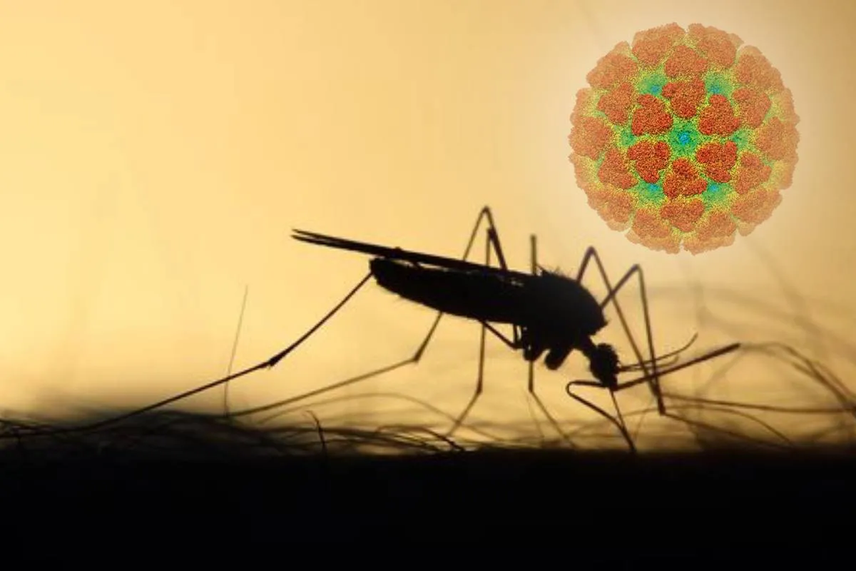 Китаем распространяется неизлечимый вирус: есть ли угроза для мира - today.ua