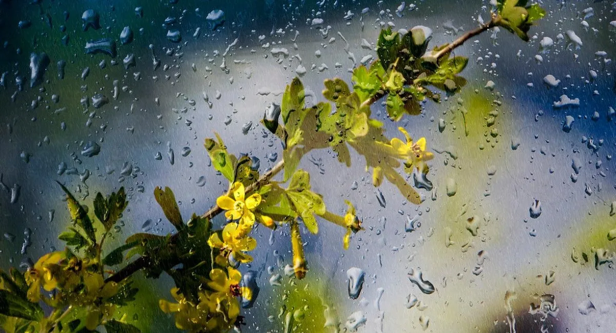 Надвигаются атмосферные фронты: синоптик предупредил о ухудшении погоды в Украине - today.ua