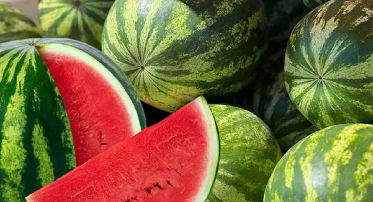 Один характерный признак сразу выдаёт арбуз с нитратами: на что следует обратить внимание - today.ua