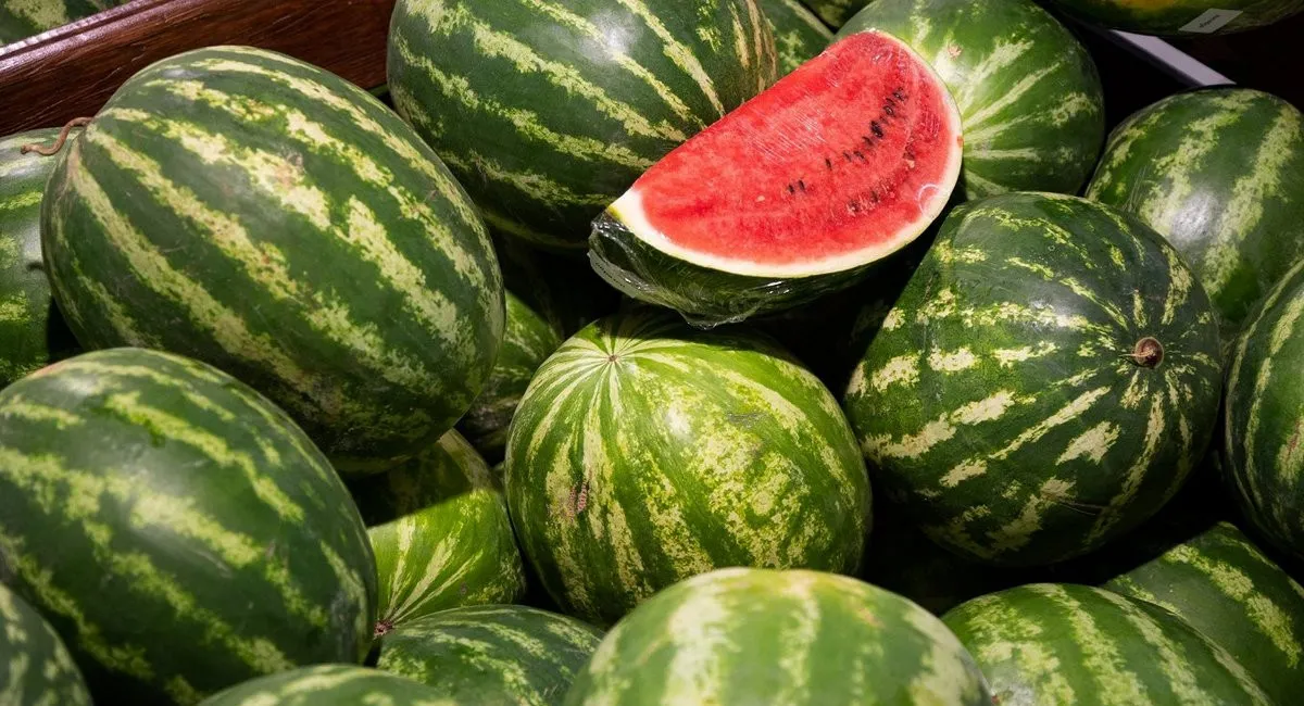 В Украине обрушились цены на арбузы: сколько теперь стоит популярная летняя ягода - today.ua