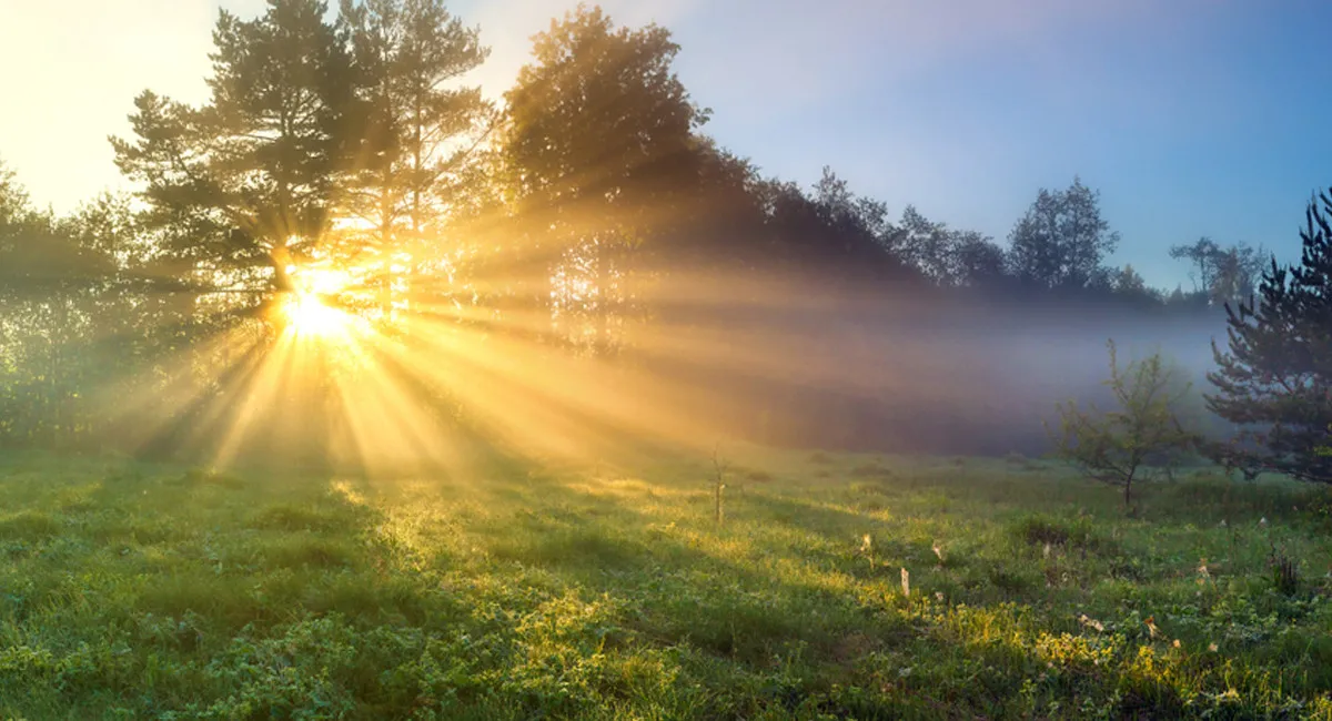 Пора доставать теплые одеяла: синоптик предупредила о снижении температуры на выходных - today.ua