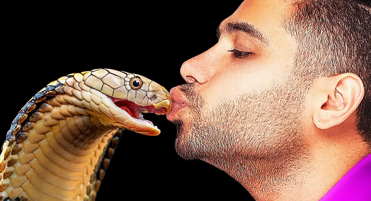 Українцям заборонили утримувати дома деяких тварин: за непокору — штраф або 8 років тюрми - today.ua