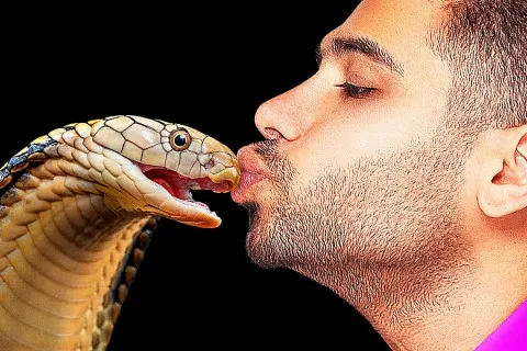 Українцям заборонили утримувати дома деяких тварин: за непокору — штраф або 8 років тюрми