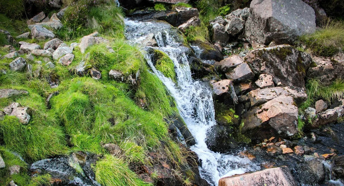 На Землі катастрофічно скорочуються запаси прісної води: науковцям вдалося з’ясувати, куди вона зникає - today.ua