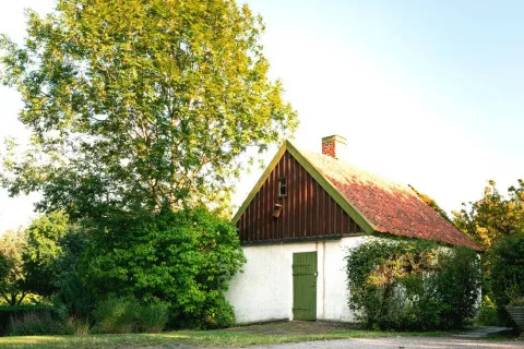 Будинок за ціною шести iPhone: українка показала, яке житло можна купити в Україні за 8000 доларів