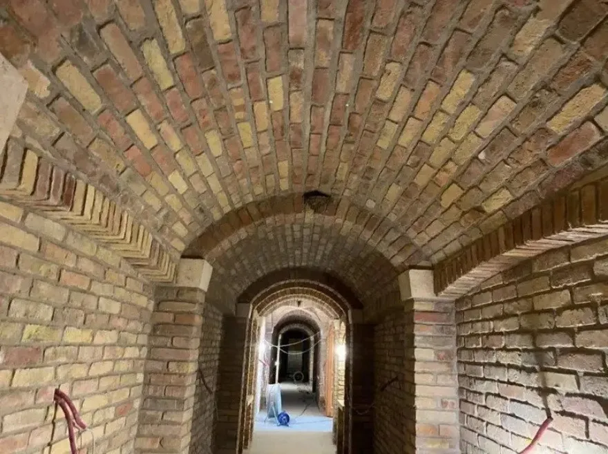 Тротуари з підігрівом, будинки з ліфтами та зебри на газонах: Янукович нервово курить після того, що показали в маєтку Орбана - today.ua