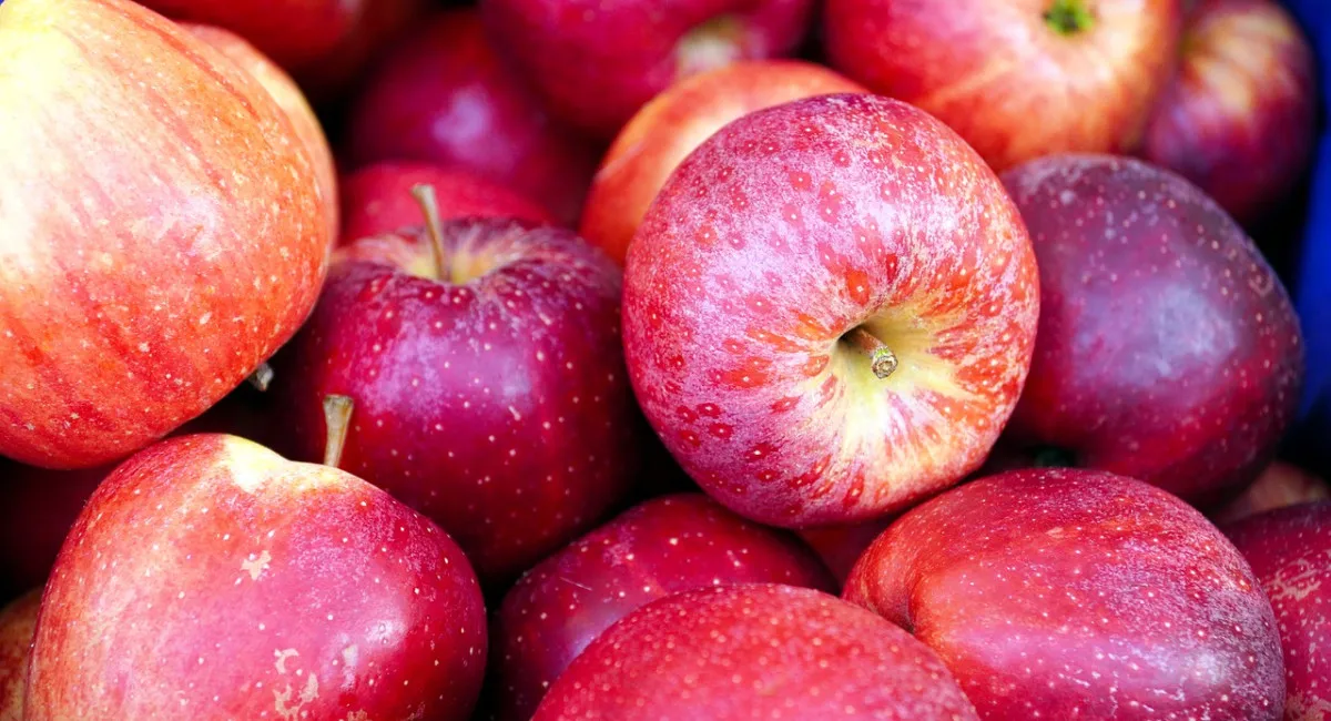 Популярний в Україні фрукт обвалився в ціні майже на 50%: яка поточна вартість - today.ua