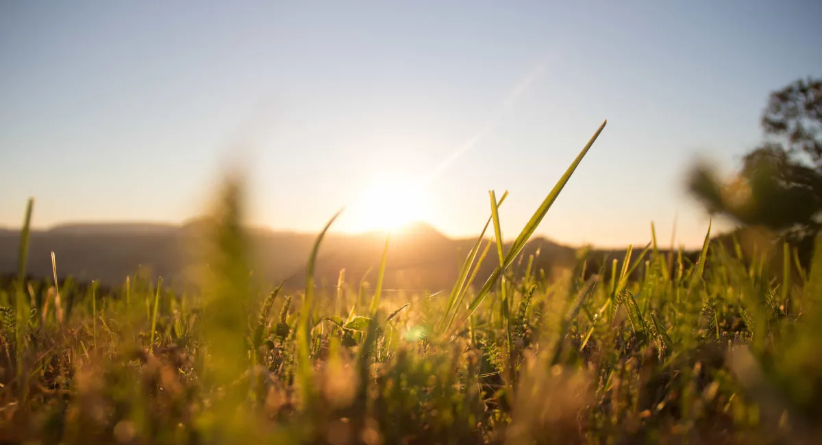 После жары в ряде областей Украины резко похолодает: где температура упадет до +20 - today.ua