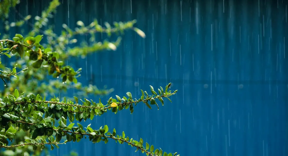 Часть Украины накроет непогода: в Укргидрометцентре предупредили об опасности - today.ua