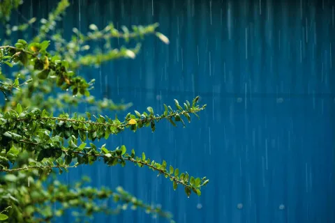 Часть Украины накроет непогода: в Укргидрометцентре предупредили об опасности