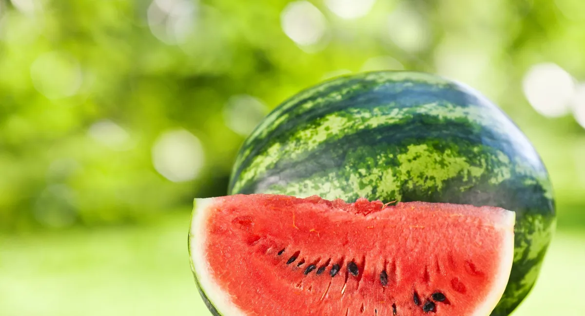 В Україні майже на третину здешевшали кавуни: скільки тепер коштує популярна сезонна ягода - today.ua