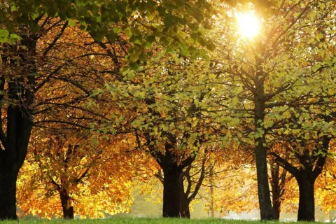 В Украине ожидается радикальное изменение погоды: синоптик дал прогноз на неделю