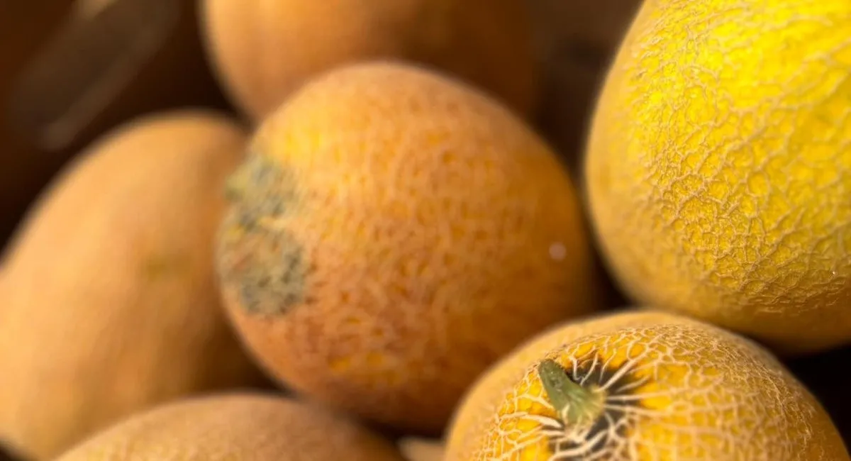 В Україні різко злетіли ціни на популярну літню ягоду: скільки тепер коштує - today.ua