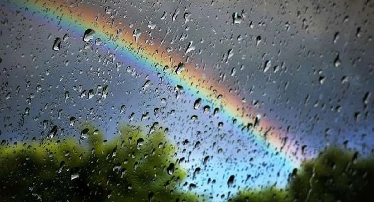 Холодный фронт идет в Украину: когда и где понизится температура и стоит ли ожидать заморозков - today.ua