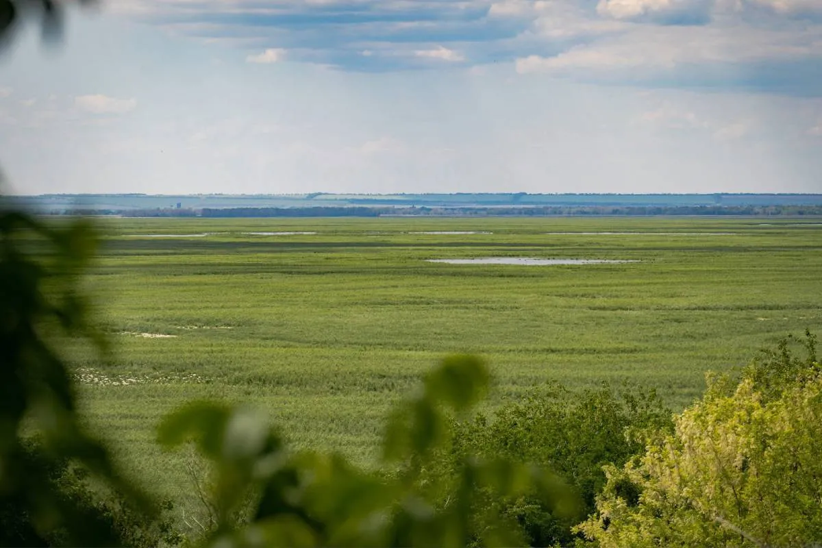 Экологи бьют тревогу: яд из бывшего Каховского водохранилища мог попасть в питьевую воду. - today.ua