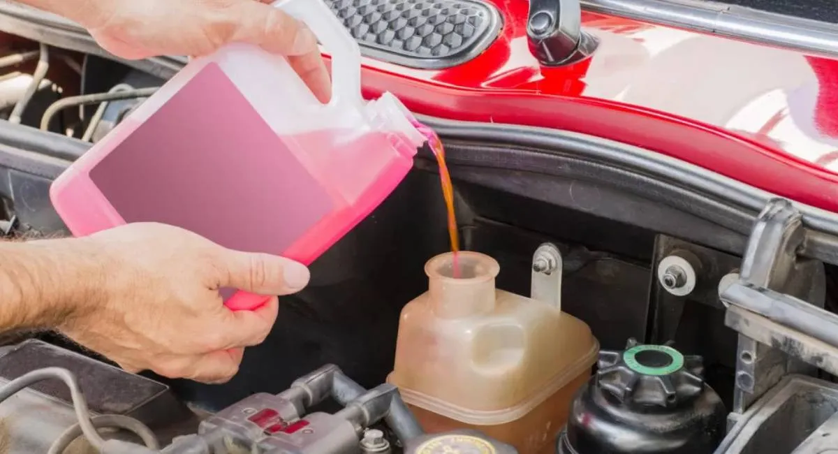 Влияет ли цвет антифриза на качество: окончательный ответ экспертов - today.ua