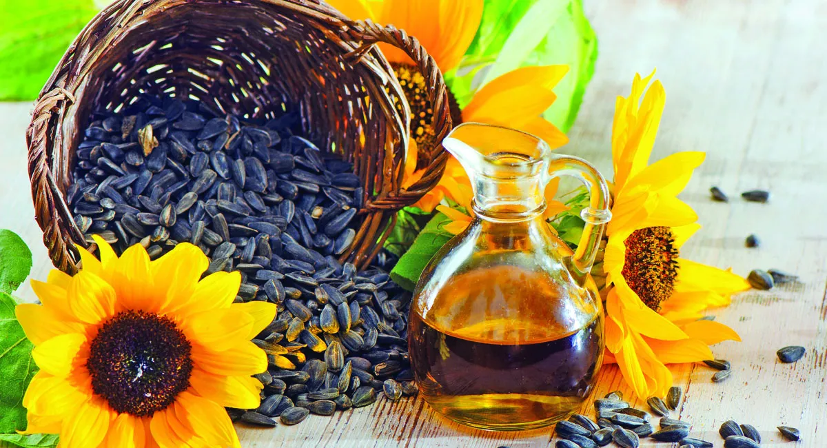 В Україні виник дефіцит соняшникової олії: ціна за пляшку може зрости до 100 грн - today.ua