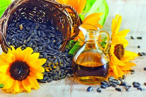 В Украине возник дефицит подсолнечного масла: цена за бутылку может вырасти до 100 грн