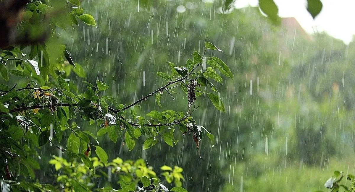 Дожди и стремительное похолодание: синоптики поделились прогнозом погоды в Украине на выходные - today.ua
