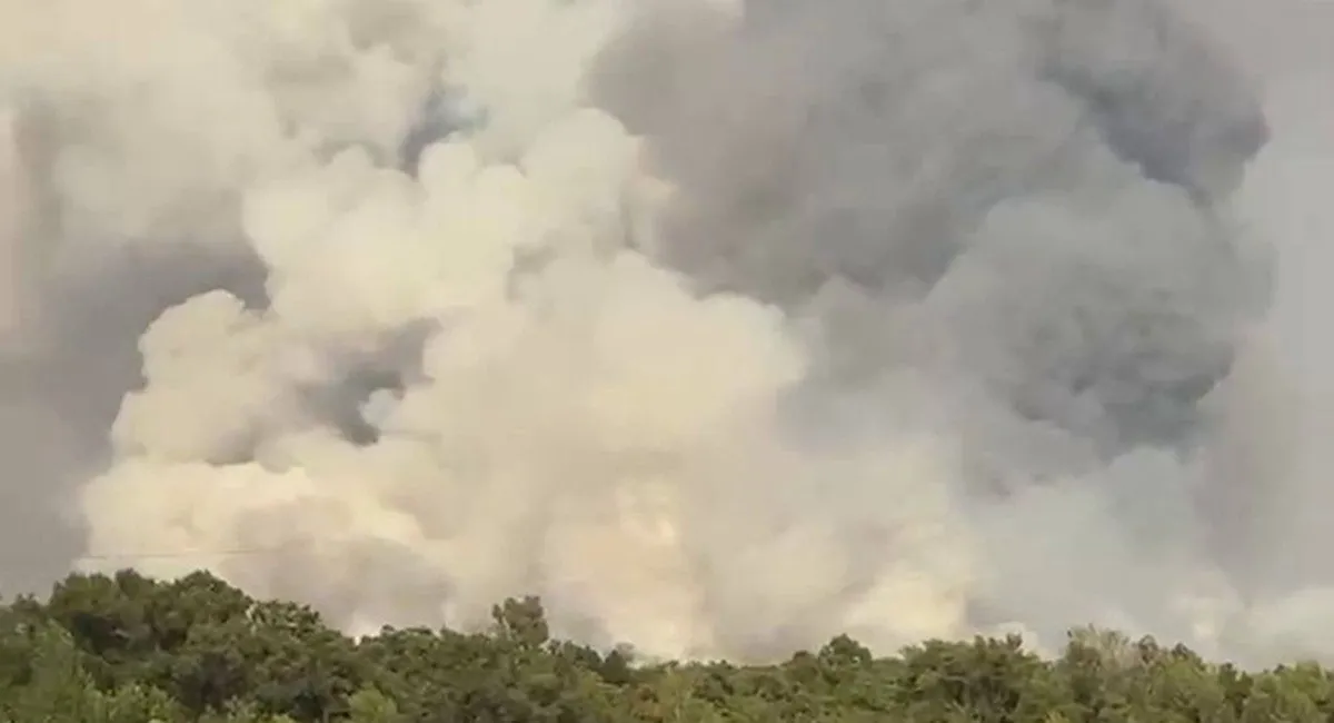 Дым видно за десятки километров: под Днепром набирает обороты неконтролируемый пожар (видео) - today.ua