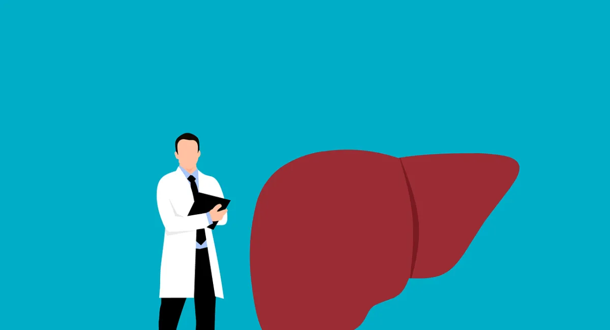 Улучшают работу печени и способствуют детоксикации: какие овощи стоит есть каждый день - today.ua