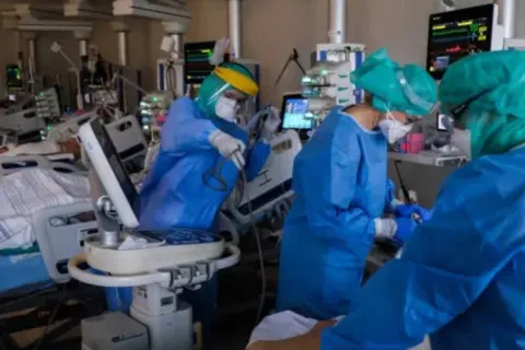 Институт Пастера бьет тревогу: мутация вируса H5 может вызвать пандемию страшнее, чем COVID-19