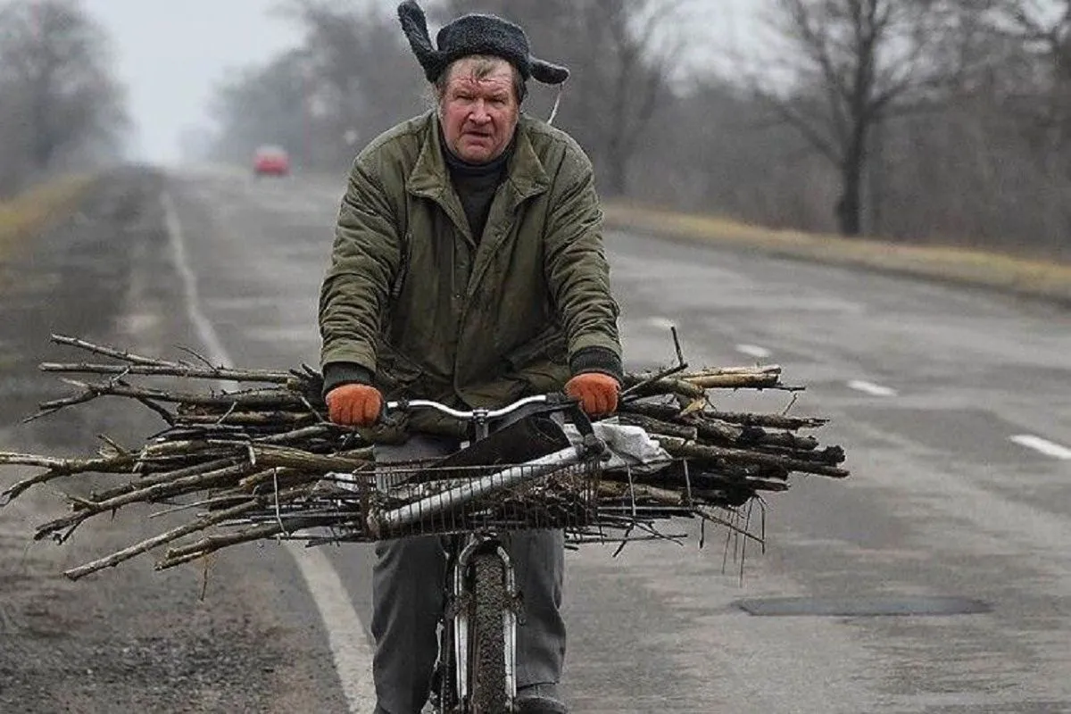 Українцям заборонили збирати в лісі дрова, навіть якщо це сухостій - today.ua