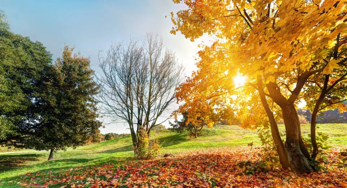 Україна готується до повернення спеки: синоптикиня розповіла, коли почнеться перше бабине літо - today.ua