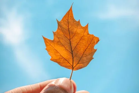 Последние выходные лета будут жаркими: синоптик рассказала, когда ждать первого похолодания