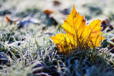 Синоптики предупредили о первых заморозках: когда в Украину придут холода