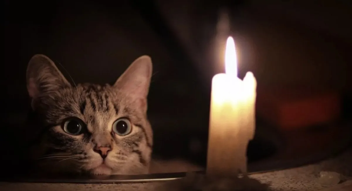 Жесткие графики отключения света возвращаются: в каком регионе ситуация критическая - today.ua