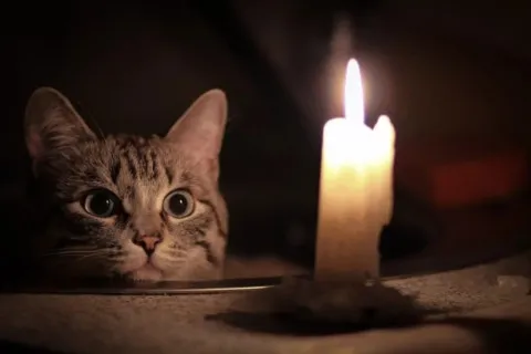 Жесткие графики отключения света возвращаются: в каком регионе ситуация критическая